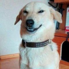 Player Soule avatar