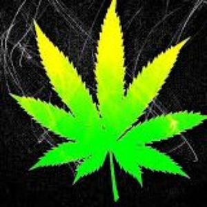 Faceit profile picture for @cannabis