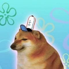 MeQu13 avatar