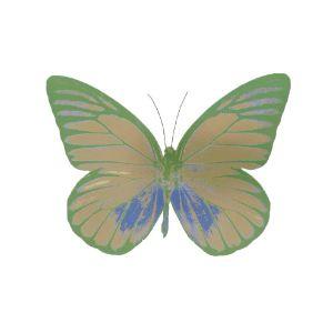 aMIRRkka avatar