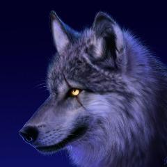 Golliy avatar