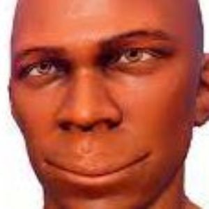 LEROdir