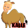 Zajjee