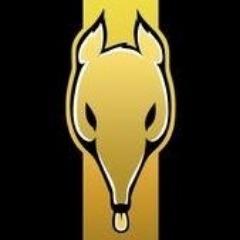 Player 2020GL avatar