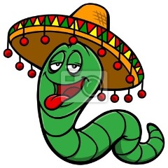 SirTequilla