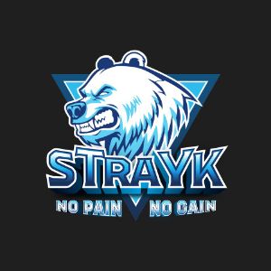 sTrYk1337