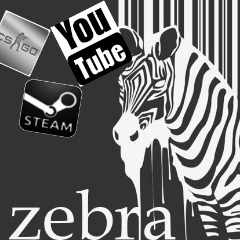 zebra--