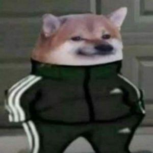 NikZen01