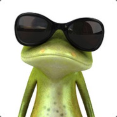 nik_ls