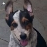 spliterr avatar