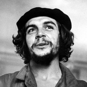 robertpuiu avatar