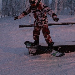 Badger_94_