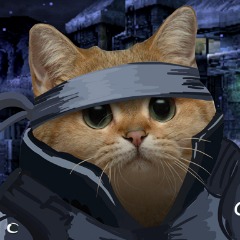 DobozXD FACEIT avatar