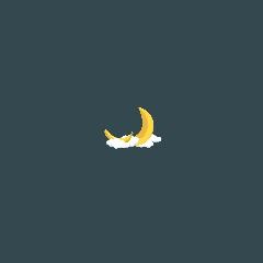 gnaw_cire