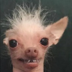 1nSolen7