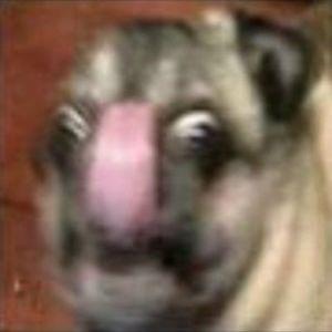 Reliksandr avatar