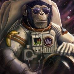 Player 1koba avatar