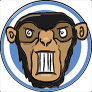 CB33 FACEIT avatar