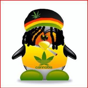cannabis4md