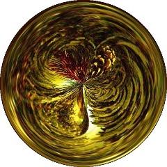 Bebouf avatar