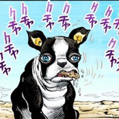 Player Gravyboy avatar