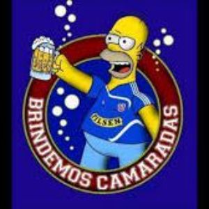 bemjaspider