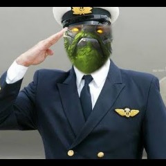 Katoni