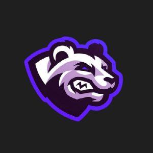 Player Bobr1 avatar