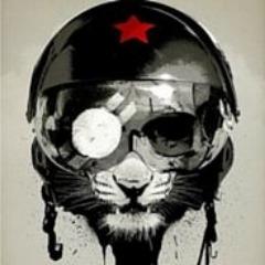 jocokurshum avatar