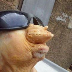 LaurEs avatar