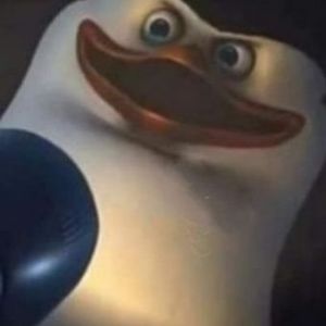WE3RTELU5S avatar