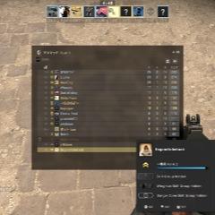Player luc1ffeerr avatar