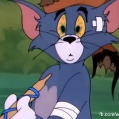 n0ah25 avatar