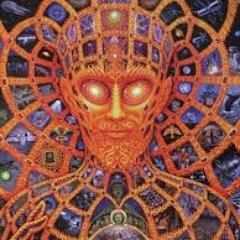_druid_ avatar