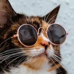 Rintero avatar