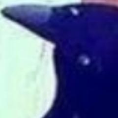 Player Neiromonah avatar