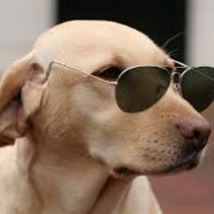 Pressi_ avatar