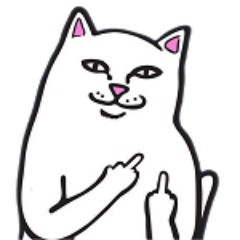kooraiber