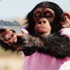 Softlocky avatar