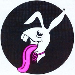 Faceit profile picture for @playboy