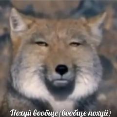 ArtZSZ avatar