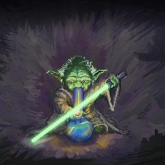 AnitaDollar avatar