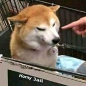 Chopedd