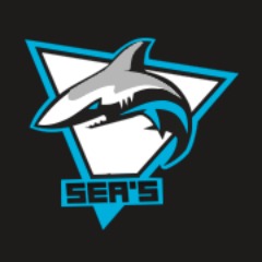 team_MRuizz73