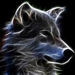 Player _kaczy_ avatar