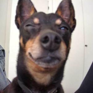 MarcobomoEZ avatar