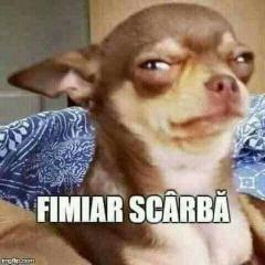 ruse94 avatar