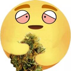 wbRs avatar