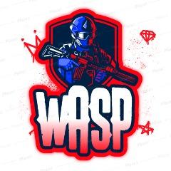 Player LS-wasp avatar
