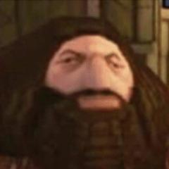 MQLYmeister avatar